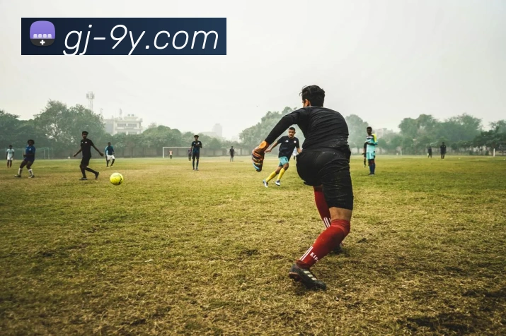 九游官网APP 封面图